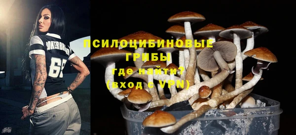 герыч Корсаков